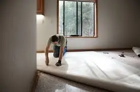 Carpet Inspection