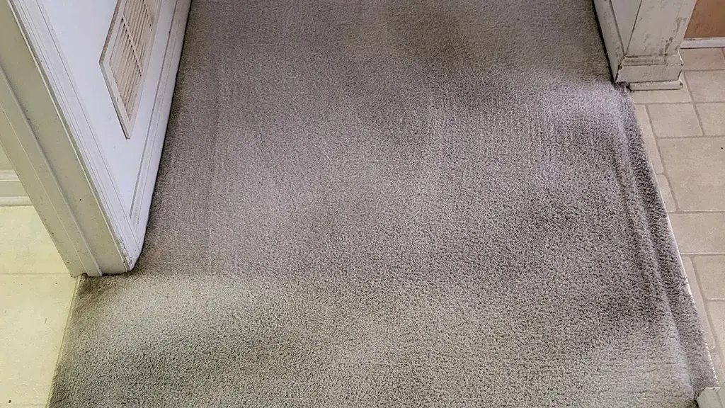 Pre-Treatment for Stains and Traffic Areas